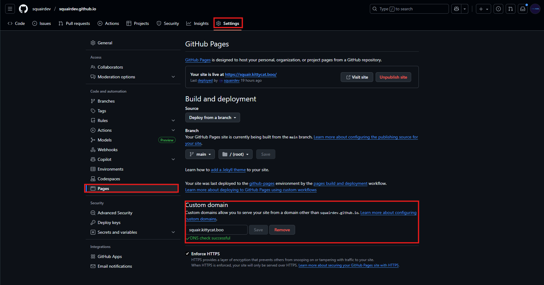 GitHub Pages Custom Domain Settings